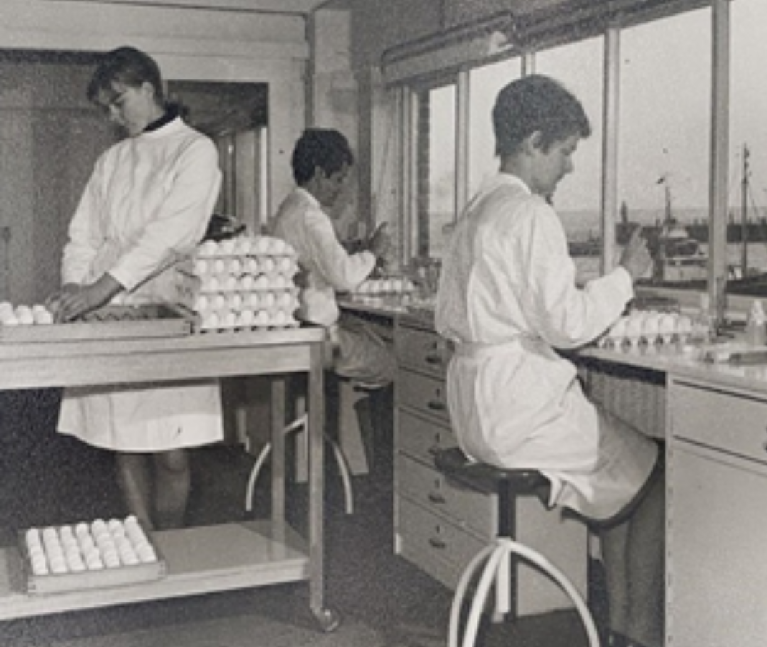 Slide image