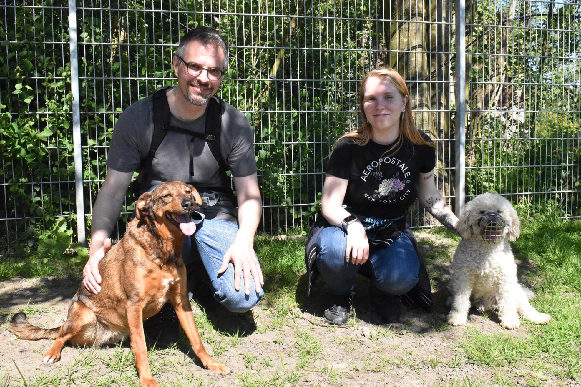 Tierheim Cux